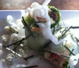 Cobb Salad Spring Rolls
