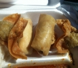 Fried Won Tons & Fried Spring Rolls